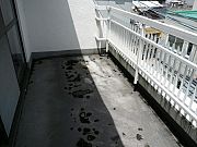 ベランダ防水前詳細を見る