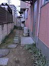 -Before- 