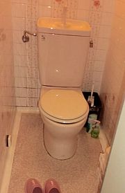詳細を見る